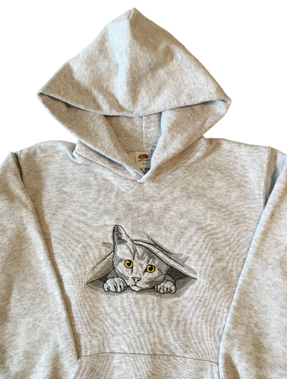kids peeking out kitty grey hoodie front middle